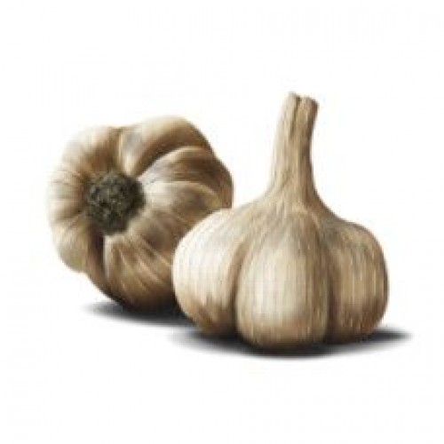 Lashun/ Garlic-(250gm)